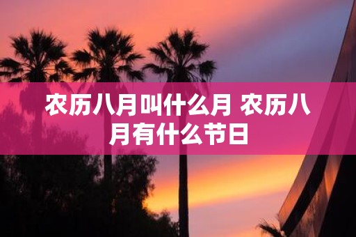 农历八月叫什么月 农历八月有什么节日