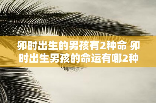 卯时出生的男孩有2种命 卯时出生男孩的命运有哪2种