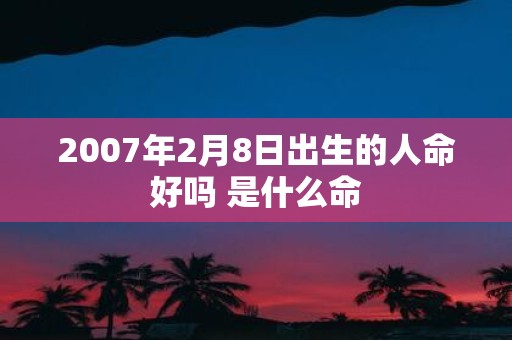 2007年2月8日出生的人命好吗 是什么命
