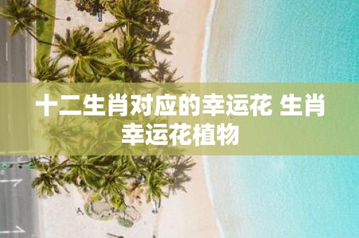 十二生肖对应的幸运花 生肖幸运花植物