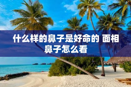 什么样的鼻子是好命的 面相鼻子怎么看