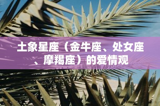 土象星座（金牛座、处女座、摩羯座）的爱情观