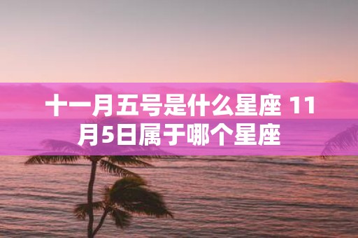 十一月五号是什么星座 11月5日属于哪个星座