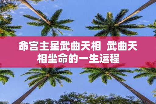 命宫主星武曲天相 武曲天相坐命的一生运程