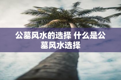 公墓风水的选择 什么是公墓风水选择