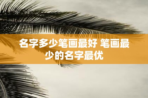 名字多少笔画最好 笔画最少的名字最优