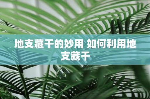 地支藏干的妙用 如何利用地支藏干