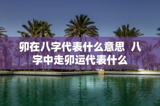 卯在八字代表什么意思 八字中走卯运代表什么