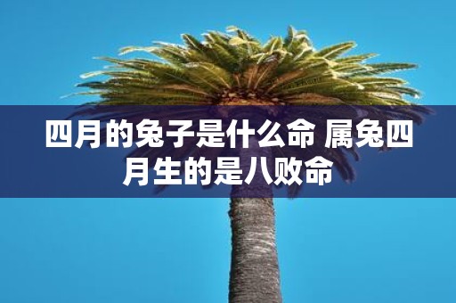 四月的兔子是什么命 属兔四月生的是八败命