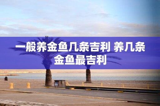 一般养金鱼几条吉利 养几条金鱼最吉利