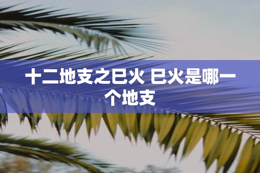 十二地支之巳火 巳火是哪一个地支