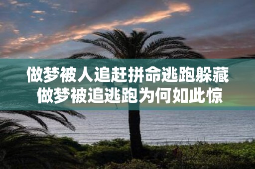 做梦被人追赶拼命逃跑躲藏 做梦被追逃跑为何如此惊险