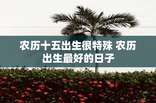 农历十五出生很特殊 农历出生最好的日子