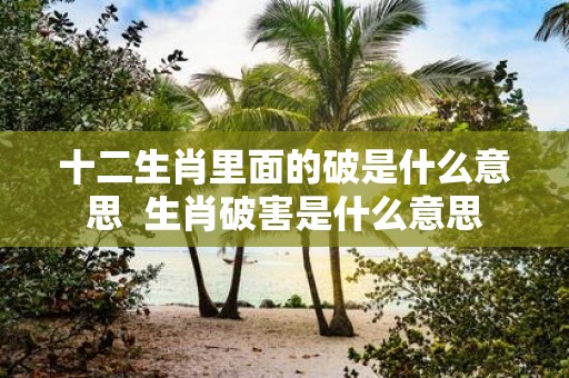 十二生肖里面的破是什么意思 生肖破害是什么意思