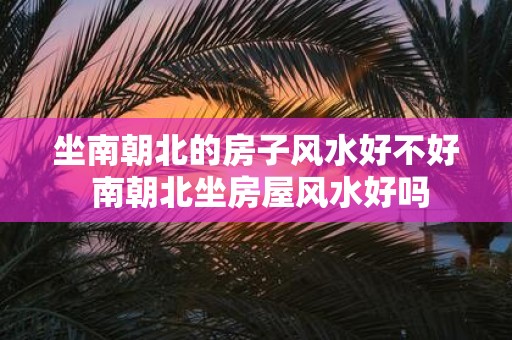 坐南朝北的房子风水好不好 南朝北坐房屋风水好吗