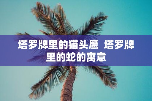 塔罗牌里的猫头鹰 塔罗牌里的蛇的寓意