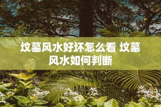 坟墓风水好坏怎么看 坟墓风水如何判断