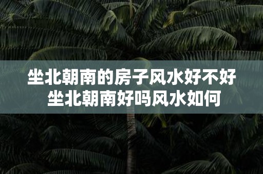 坐北朝南的房子风水好不好 坐北朝南好吗风水如何