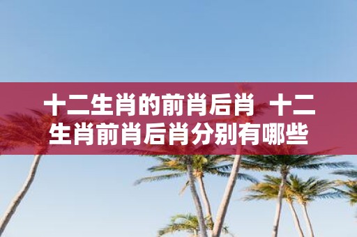 十二生肖的前肖后肖 十二生肖前肖后肖分别有哪些
