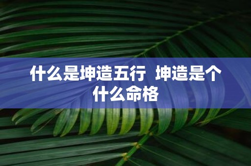 什么是坤造五行 坤造是个什么命格
