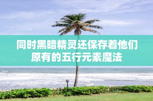 同时黑暗精灵还保存着他们原有的五行元素魔法