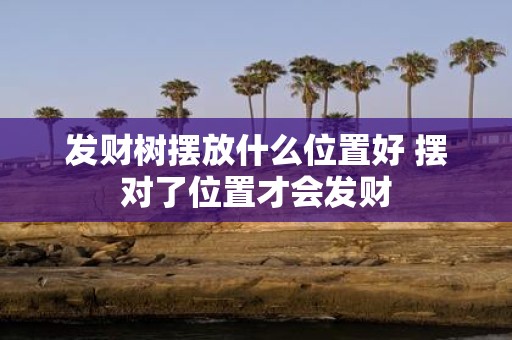 发财树摆放什么位置好 摆对了位置才会发财