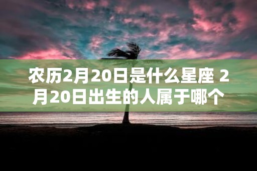 农历2月20日是什么星座 2月20日出生的人属于哪个星座