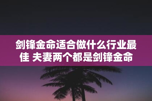 剑锋金命适合做什么行业最佳 夫妻两个都是剑锋金命好吗