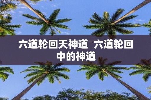 六道轮回天神道 六道轮回中的神道