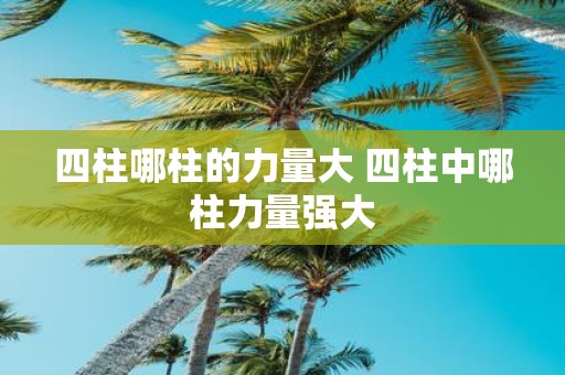 四柱哪柱的力量大 四柱中哪柱力量强大