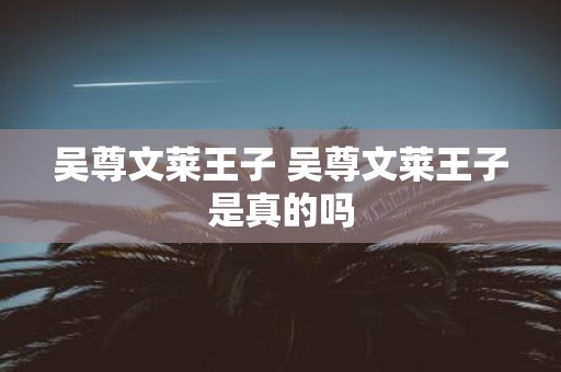 吴尊文莱王子 吴尊文莱王子是真的吗