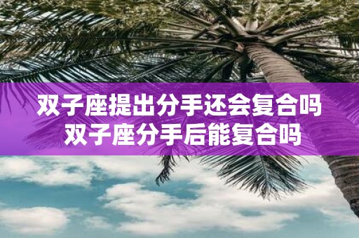 双子座提出分手还会复合吗 双子座分手后能复合吗