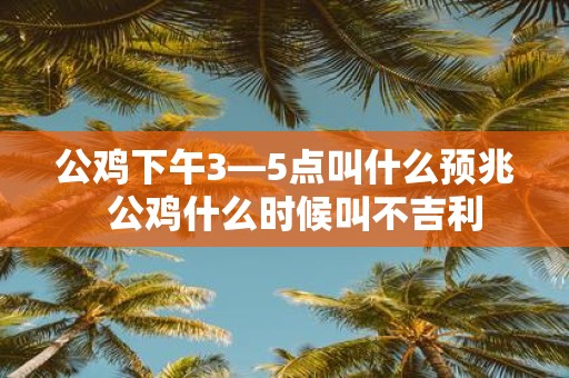 公鸡下午3—5点叫什么预兆 公鸡什么时候叫不吉利