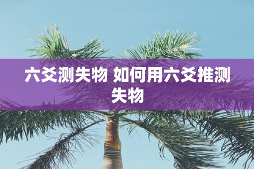 六爻测失物 如何用六爻推测失物