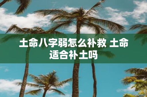 土命八字弱怎么补救 土命适合补土吗