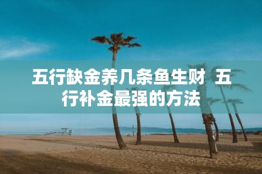 五行缺金养几条鱼生财 五行补金最强的方法