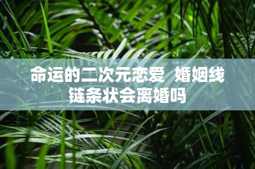 命运的二次元恋爱 婚姻线链条状会离婚吗
