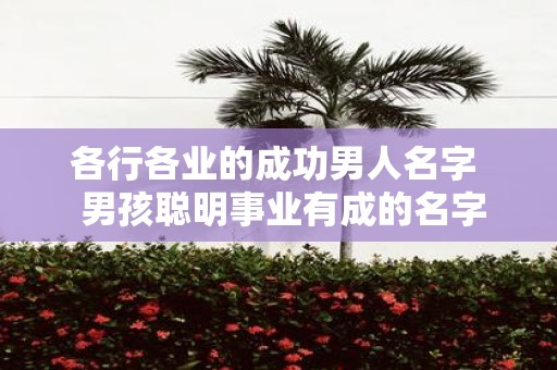 各行各业的成功男人名字 男孩聪明事业有成的名字