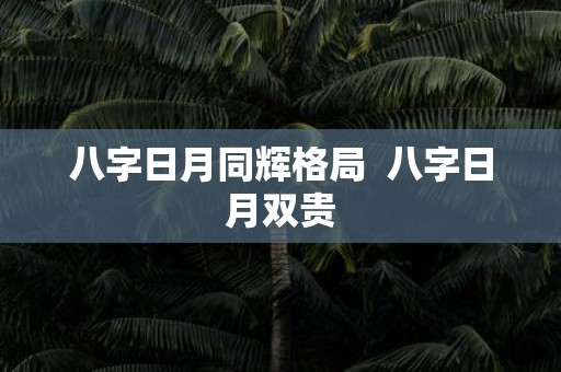 八字日月同辉格局 八字日月双贵