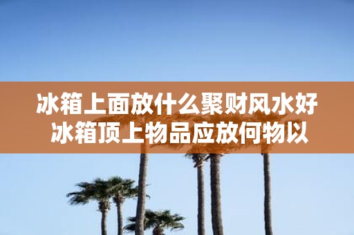 冰箱上面放什么聚财风水好 冰箱顶上物品应放何物以招财
