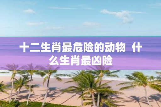 十二生肖最危险的动物 什么生肖最凶险