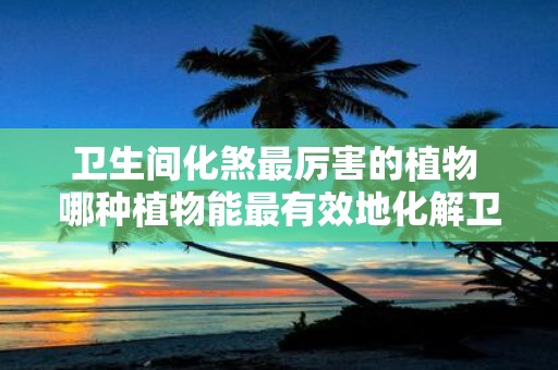 卫生间化煞最厉害的植物 哪种植物能最有效地化解卫生间煞气