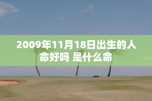 2009年11月18日出生的人命好吗 是什么命