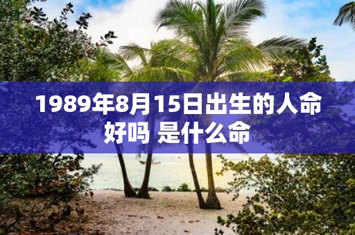 1989年8月15日出生的人命好吗 是什么命