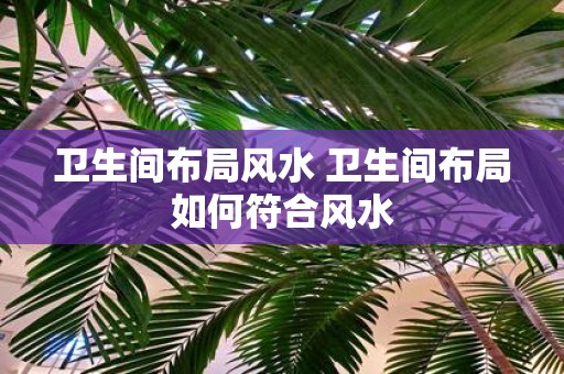 卫生间布局风水 卫生间布局如何符合风水