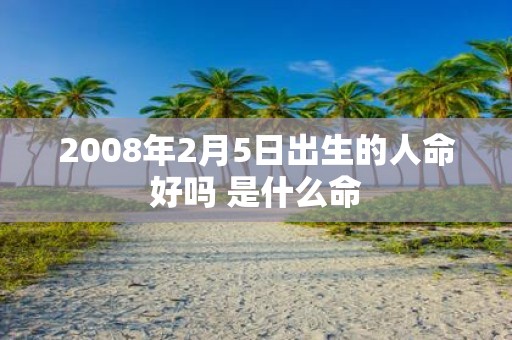 2008年2月5日出生的人命好吗 是什么命