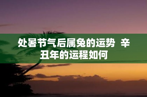 处暑节气后属兔的运势 辛丑年的运程如何