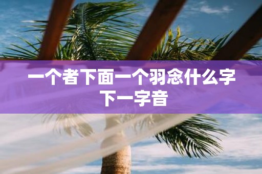 一个者下面一个羽念什么字 下一字音