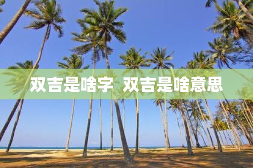 双吉是啥字 双吉是啥意思