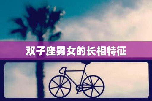 双子座男女的长相特征
